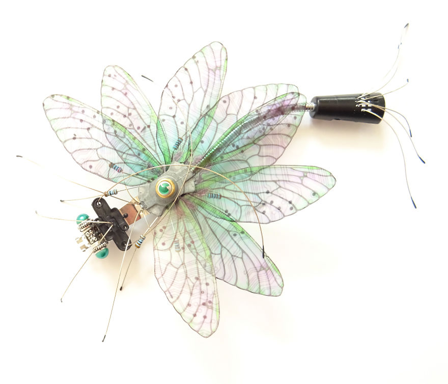 Computer Component And Circuit Board Insect Mandalas Computer Component And Circuit Board Insect Mandalas