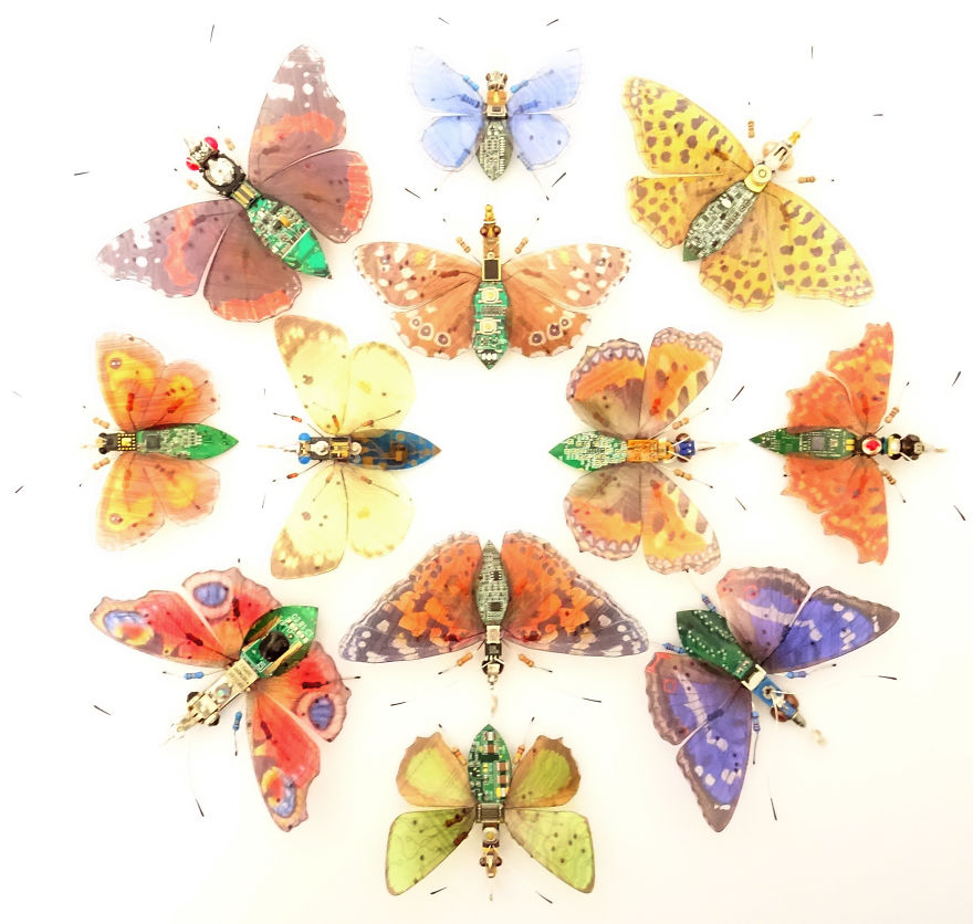 Computer Component And Circuit Board Insect Mandalas Computer Component And Circuit Board Insect Mandalas