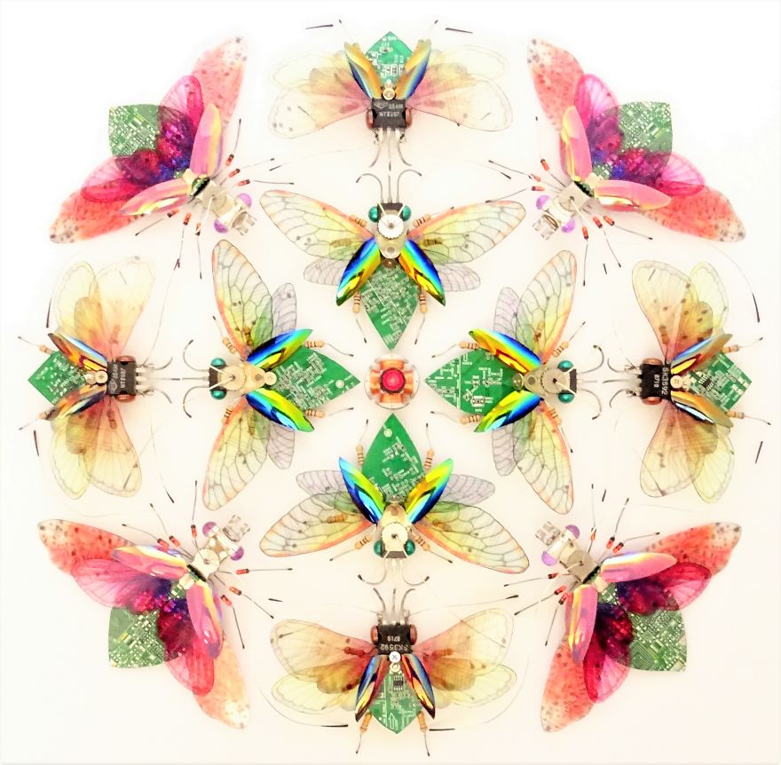 Computer Component And Circuit Board Insect Mandalas Computer Component And Circuit Board Insect Mandalas