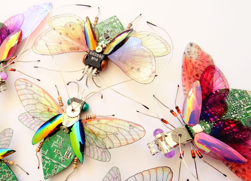 Computer Component And Circuit Board Insect Mandalas Computer Component And Circuit Board Insect Mandalas