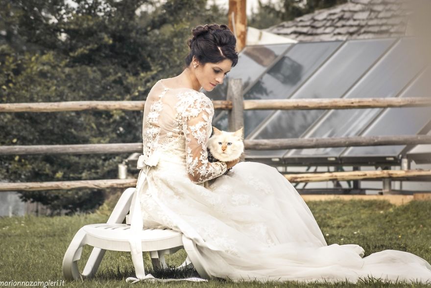 I Capture The Magical Post-Wedding Moments Of Newly-Weds And Their Cats (Part 2) I Capture The Magical Post-Wedding Moments Of Newly-Weds And Their Cats (Part 2)