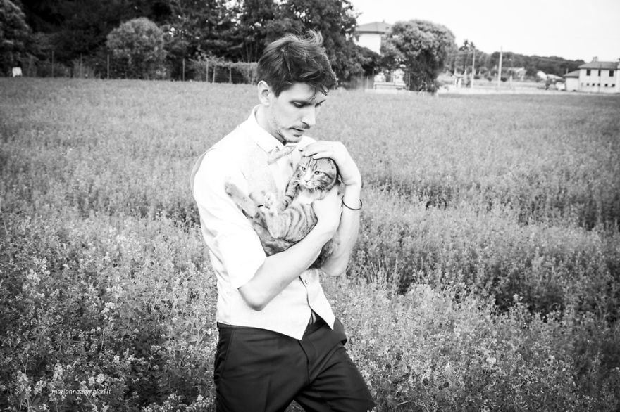 I Capture The Magical Post-Wedding Moments Of Newly-Weds And Their Cats (Part 2) I Capture The Magical Post-Wedding Moments Of Newly-Weds And Their Cats (Part 2)