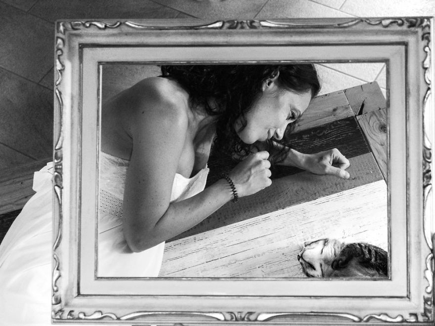 I Capture The Magical Post-Wedding Moments Of Newly-Weds And Their Cats (Part 2) I Capture The Magical Post-Wedding Moments Of Newly-Weds And Their Cats (Part 2)