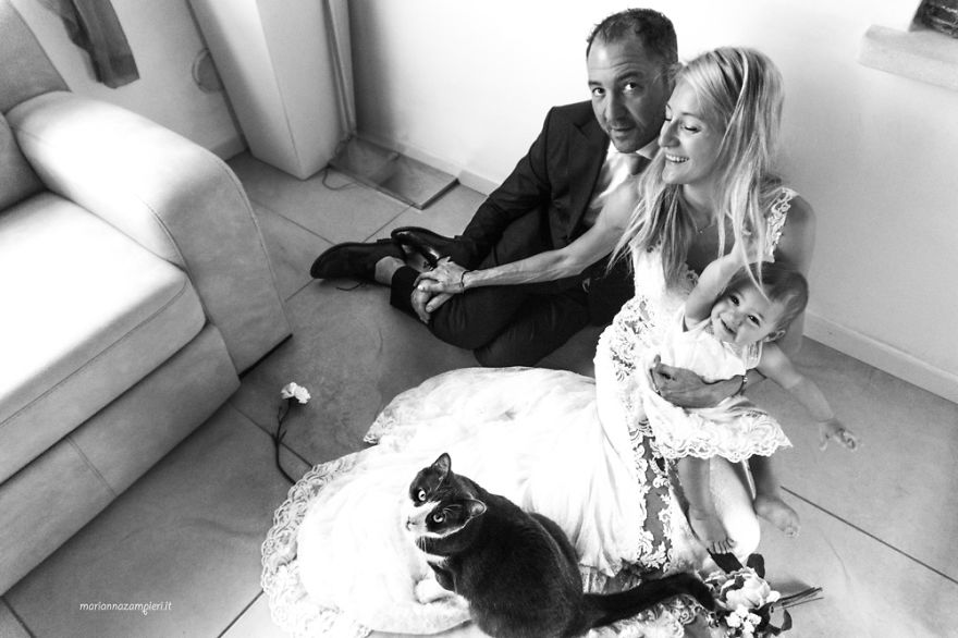 I Capture The Magical Post-Wedding Moments Of Newly-Weds And Their Cats (Part 2) I Capture The Magical Post-Wedding Moments Of Newly-Weds And Their Cats (Part 2)
