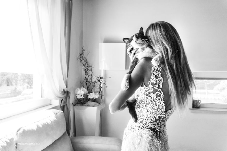I Capture The Magical Post-Wedding Moments Of Newly-Weds And Their Cats (Part 2) I Capture The Magical Post-Wedding Moments Of Newly-Weds And Their Cats (Part 2)