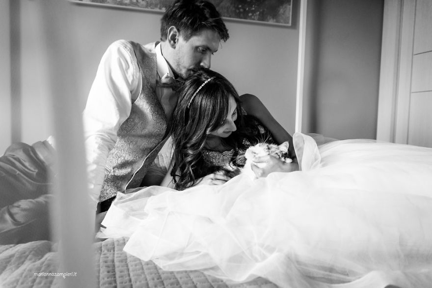 I Capture The Magical Post-Wedding Moments Of Newly-Weds And Their Cats (Part 2) I Capture The Magical Post-Wedding Moments Of Newly-Weds And Their Cats (Part 2)