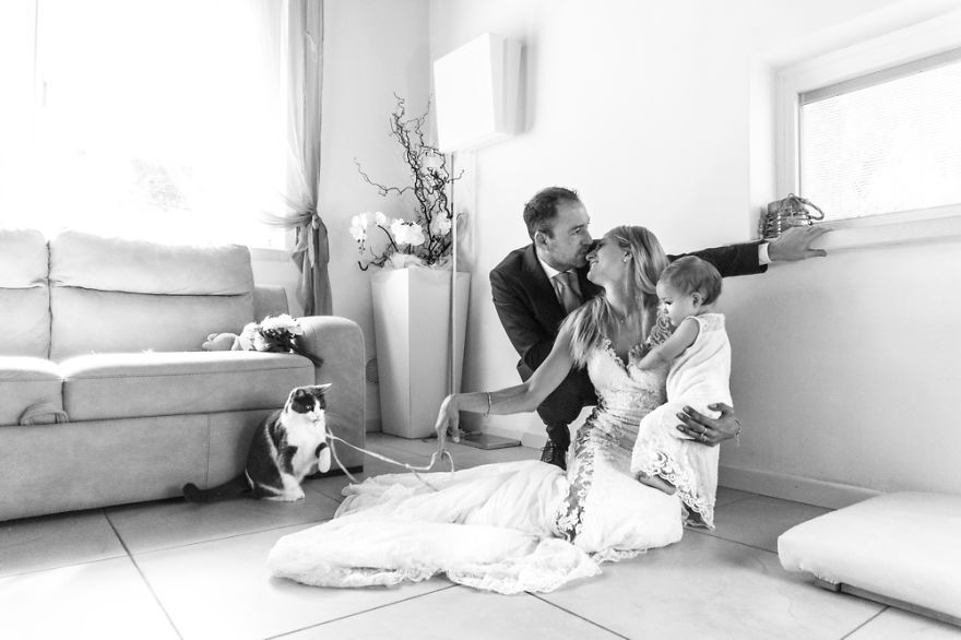 I Capture The Magical Post-Wedding Moments Of Newly-Weds And Their Cats (Part 2) I Capture The Magical Post-Wedding Moments Of Newly-Weds And Their Cats (Part 2)