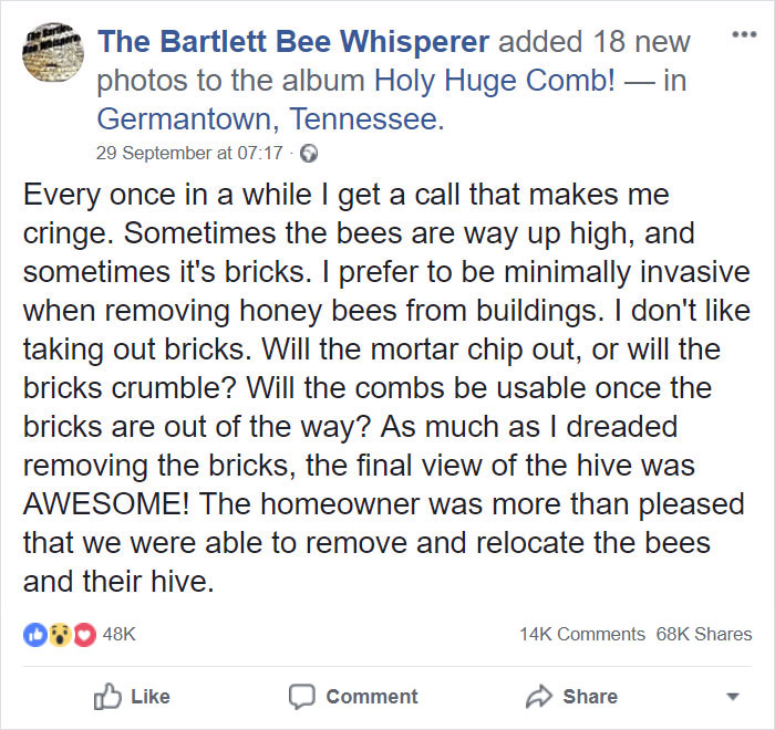 Bee Remover Posts What He Found After Removing The Bricks From A Client’s Home, And His Photos Go Viral Bee Remover Posts What He Found After Removing The Bricks From A Client’s Home, And His Photos Go Viral