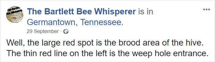 Bee Remover Posts What He Found After Removing The Bricks From A Client’s Home, And His Photos Go Viral Bee Remover Posts What He Found After Removing The Bricks From A Client’s Home, And His Photos Go Viral