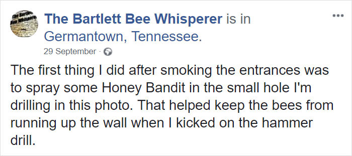 Bee Remover Posts What He Found After Removing The Bricks From A Client’s Home, And His Photos Go Viral Bee Remover Posts What He Found After Removing The Bricks From A Client’s Home, And His Photos Go Viral