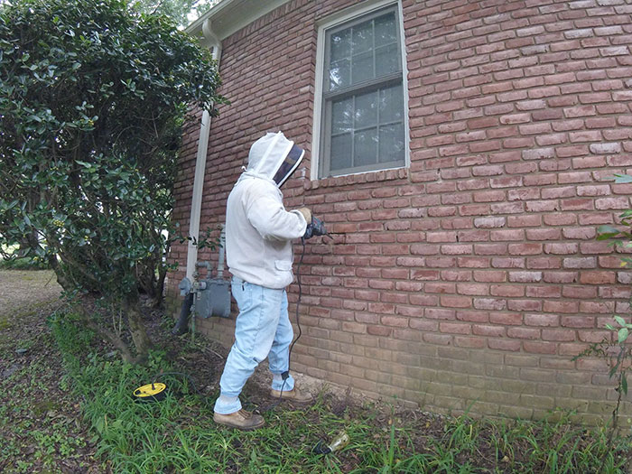 Bee Remover Posts What He Found After Removing The Bricks From A Client’s Home, And His Photos Go Viral Bee Remover Posts What He Found After Removing The Bricks From A Client’s Home, And His Photos Go Viral