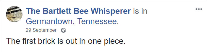 Bee Remover Posts What He Found After Removing The Bricks From A Client’s Home, And His Photos Go Viral Bee Remover Posts What He Found After Removing The Bricks From A Client’s Home, And His Photos Go Viral