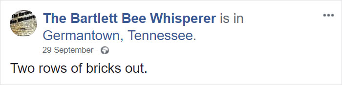 Bee Remover Posts What He Found After Removing The Bricks From A Client’s Home, And His Photos Go Viral Bee Remover Posts What He Found After Removing The Bricks From A Client’s Home, And His Photos Go Viral