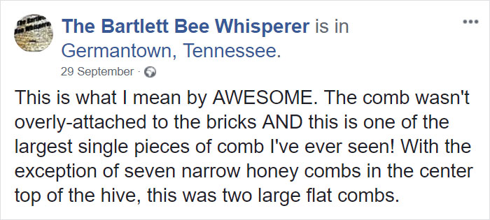 Bee Remover Posts What He Found After Removing The Bricks From A Client’s Home, And His Photos Go Viral Bee Remover Posts What He Found After Removing The Bricks From A Client’s Home, And His Photos Go Viral