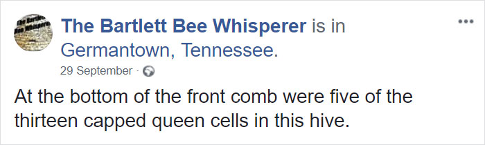 Bee Remover Posts What He Found After Removing The Bricks From A Client’s Home, And His Photos Go Viral Bee Remover Posts What He Found After Removing The Bricks From A Client’s Home, And His Photos Go Viral