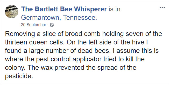 Bee Remover Posts What He Found After Removing The Bricks From A Client’s Home, And His Photos Go Viral Bee Remover Posts What He Found After Removing The Bricks From A Client’s Home, And His Photos Go Viral