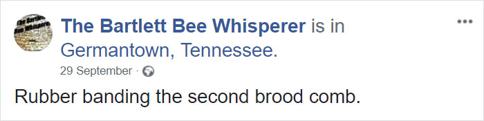 Bee Remover Posts What He Found After Removing The Bricks From A Client’s Home, And His Photos Go Viral Bee Remover Posts What He Found After Removing The Bricks From A Client’s Home, And His Photos Go Viral