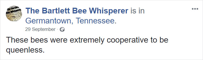 Bee Remover Posts What He Found After Removing The Bricks From A Client’s Home, And His Photos Go Viral Bee Remover Posts What He Found After Removing The Bricks From A Client’s Home, And His Photos Go Viral