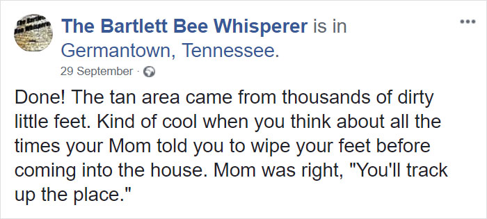 Bee Remover Posts What He Found After Removing The Bricks From A Client’s Home, And His Photos Go Viral Bee Remover Posts What He Found After Removing The Bricks From A Client’s Home, And His Photos Go Viral