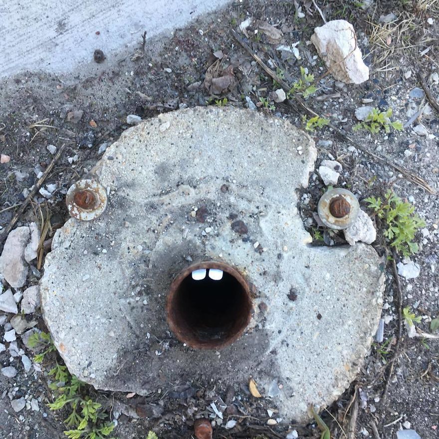 I Transform Public Objects Into Characters With Custom Designed Stickers I Transform Public Objects Into Characters With Custom Designed Stickers