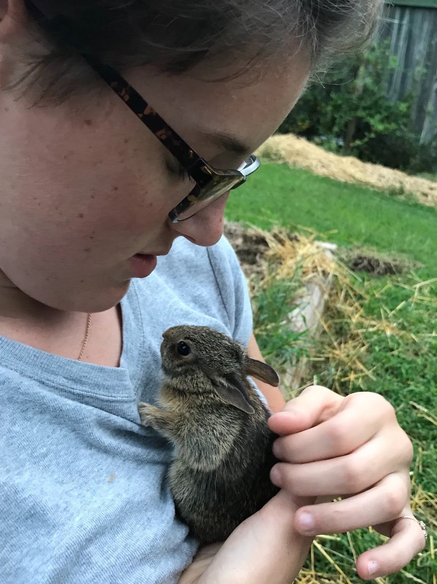 We Found A Bunny&#8230; With Our Chickens!
