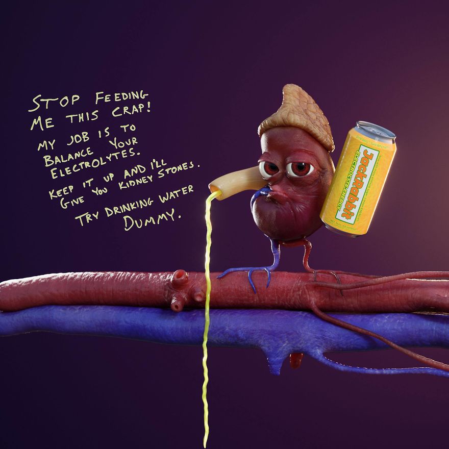 Kurt The Kidney Kurt The Kidney