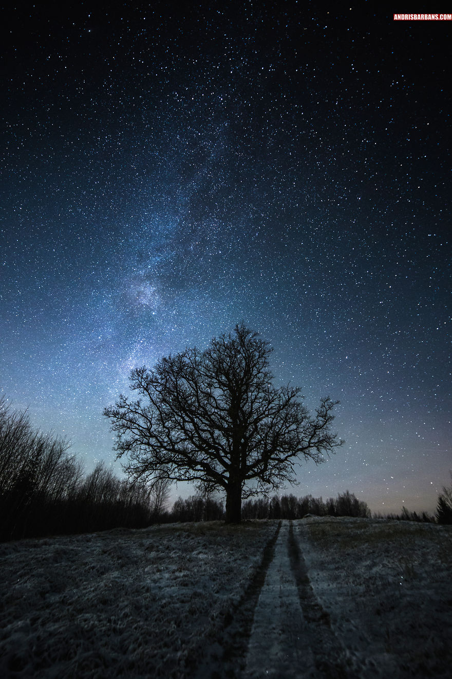 I Explored The Vast Beauty Of Latvia With Camera In My Hands