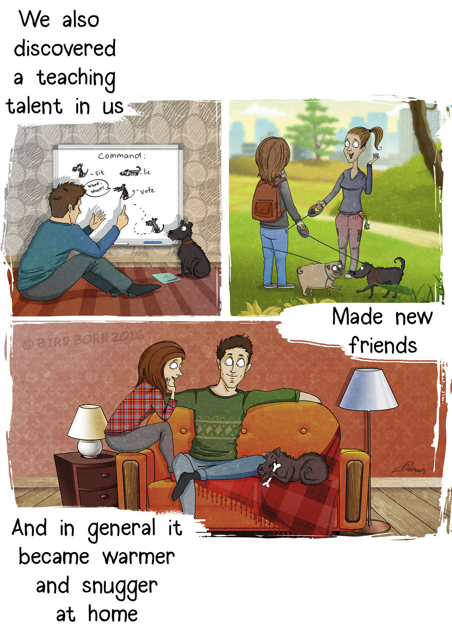 10+ Things That We Realized After Spontaneously Adopting A Dog From A Shelter 10+ Things That We Realized After Spontaneously Adopting A Dog From A Shelter