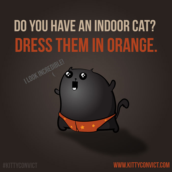 There’s A Campaign To “End The Cat Nudity” And Every Cat Owner Should See It There’s A Campaign To “End The Cat Nudity” And Every Cat Owner Should See It