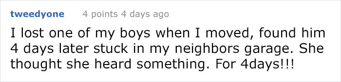 There’s A Campaign To “End The Cat Nudity” And Every Cat Owner Should See It There’s A Campaign To “End The Cat Nudity” And Every Cat Owner Should See It