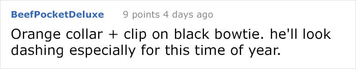 There’s A Campaign To “End The Cat Nudity” And Every Cat Owner Should See It There’s A Campaign To “End The Cat Nudity” And Every Cat Owner Should See It