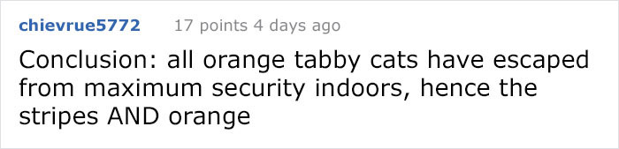 There’s A Campaign To “End The Cat Nudity” And Every Cat Owner Should See It There’s A Campaign To “End The Cat Nudity” And Every Cat Owner Should See It