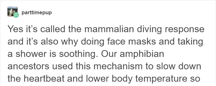 Someone Explains Why Water Feels Peaceful, And There’s Actually A Scientific Reason Behind It Someone Explains Why Water Feels Peaceful, And There’s Actually A Scientific Reason Behind It