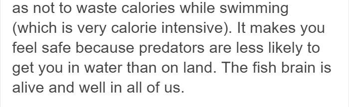 Someone Explains Why Water Feels Peaceful, And There’s Actually A Scientific Reason Behind It Someone Explains Why Water Feels Peaceful, And There’s Actually A Scientific Reason Behind It