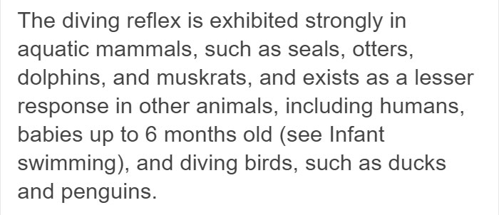 Someone Explains Why Water Feels Peaceful, And There’s Actually A Scientific Reason Behind It Someone Explains Why Water Feels Peaceful, And There’s Actually A Scientific Reason Behind It