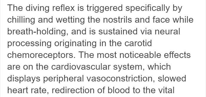 Someone Explains Why Water Feels Peaceful, And There’s Actually A Scientific Reason Behind It Someone Explains Why Water Feels Peaceful, And There’s Actually A Scientific Reason Behind It
