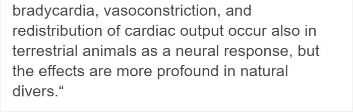 Someone Explains Why Water Feels Peaceful, And There’s Actually A Scientific Reason Behind It Someone Explains Why Water Feels Peaceful, And There’s Actually A Scientific Reason Behind It