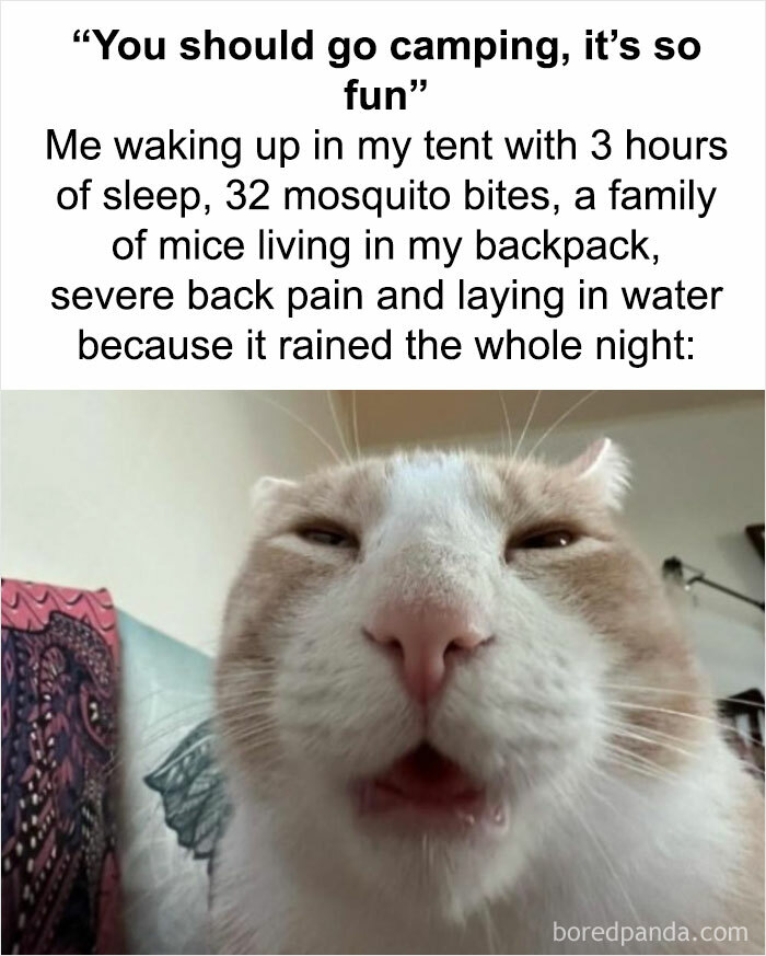 30 Funny Memes People That Travel Will Relate To