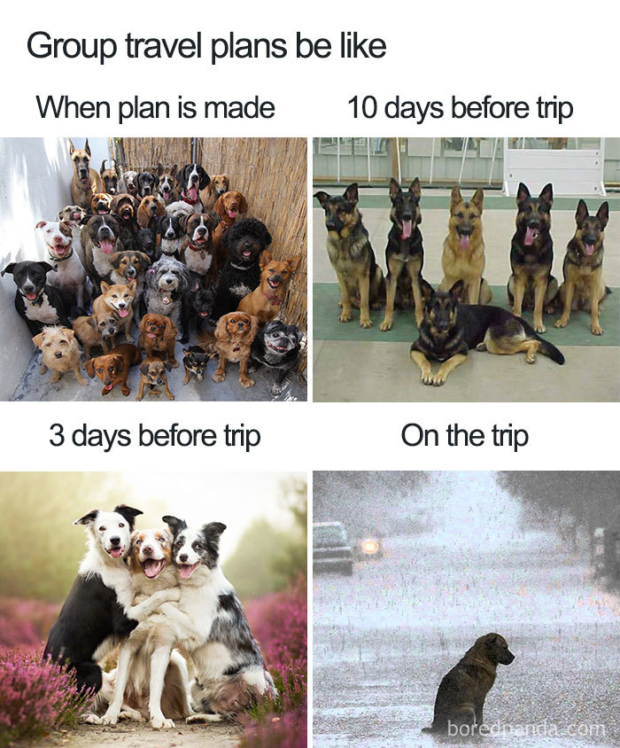 30 Funny Memes People That Travel Will Relate To