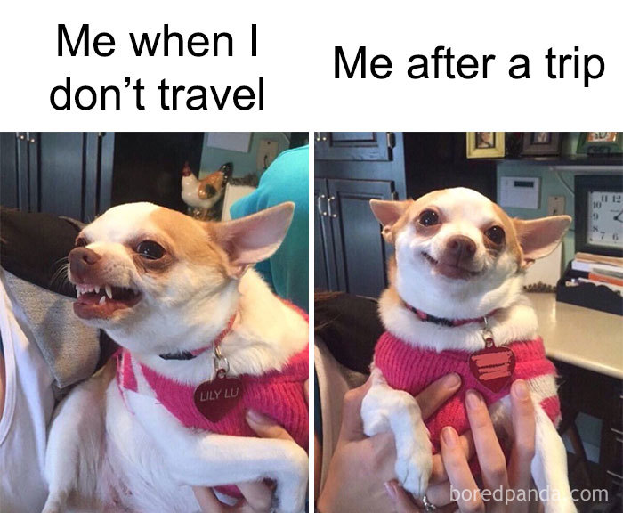 30 Funny Memes People That Travel Will Relate To
