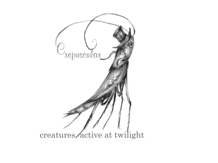 I’ve Paired A Handful Of My Doodles With Beautifully Peculiar Words I’ve Paired A Handful Of My Doodles With Beautifully Peculiar Words