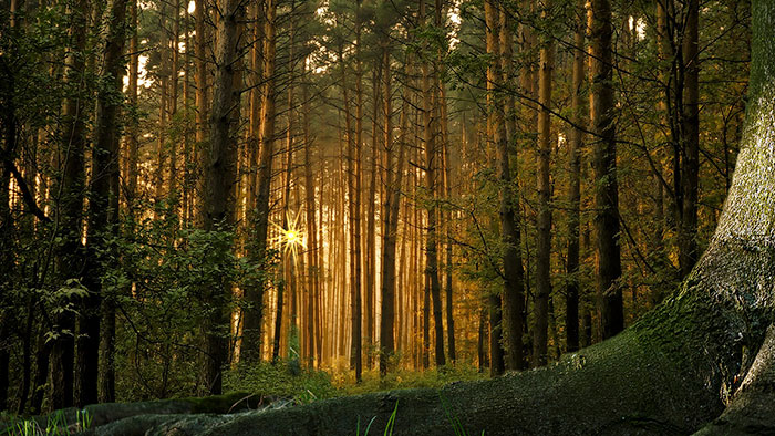 30 Surprising Facts That Are Actually True 30 Surprising Facts That Are Actually True