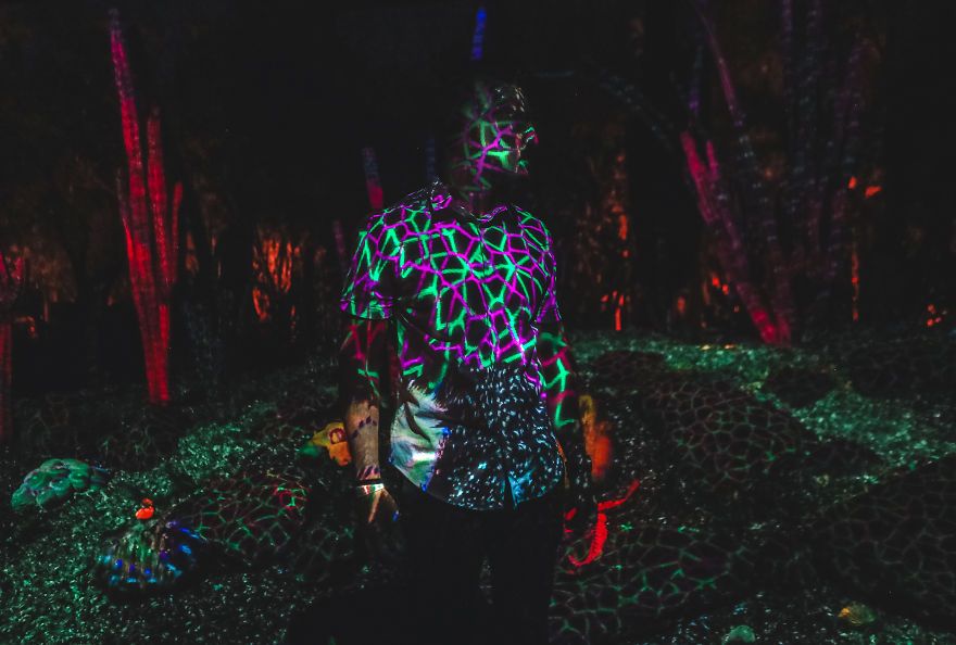 Fall In Love With Arizona Fall In Love With Arizona