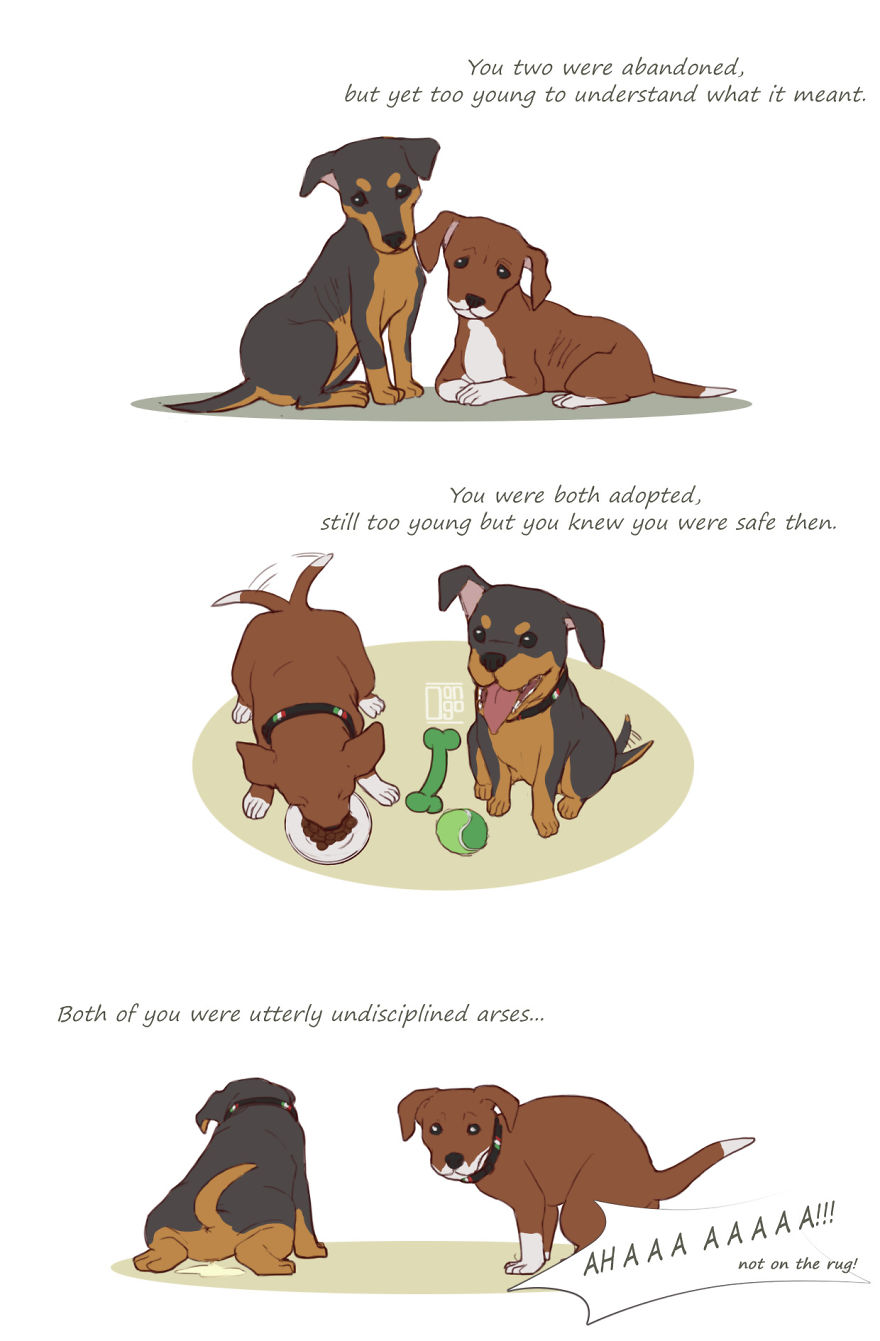 I Illustrated The Sad Tale Of My Two Cute Puppies Who I Sadly Won&#8217;t See Grow Up