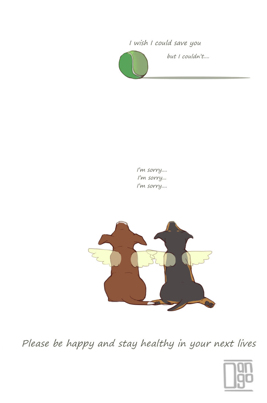 I Illustrated The Sad Tale Of My Two Cute Puppies Who I Sadly Won&#8217;t See Grow Up