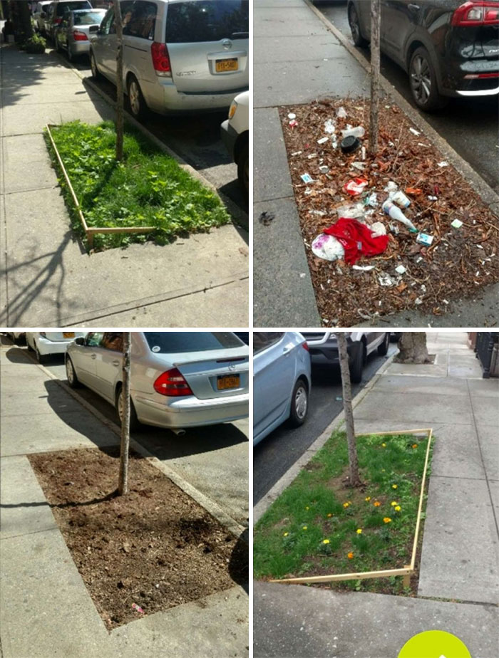 30 Of The Best Responses To #Trashtag Challenge