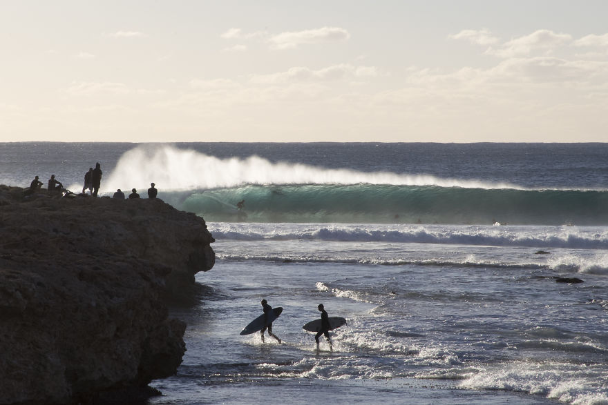 I Took These Jaw-Dropping Shots Of A Shark Frenzy In Western Australia I Took These Jaw-Dropping Shots Of A Shark Frenzy In Western Australia