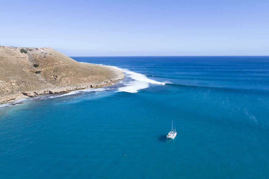 I Took These Jaw-Dropping Shots Of A Shark Frenzy In Western Australia I Took These Jaw-Dropping Shots Of A Shark Frenzy In Western Australia