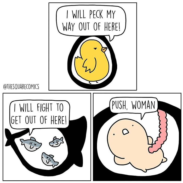 30 &#8216;Square Comics&#8217; That People With Dark Sense Of Humor Will Enjoy