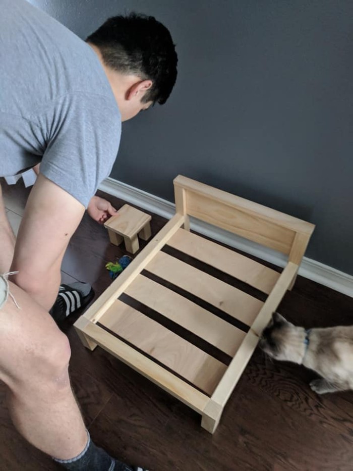 Wife Is Dying From Laughter After Finding Out The Bed Her Husband Was Building Is For The Cat, Not For Them Wife Is Dying From Laughter After Finding Out The Bed Her Husband Was Building Is For The Cat, Not For Them